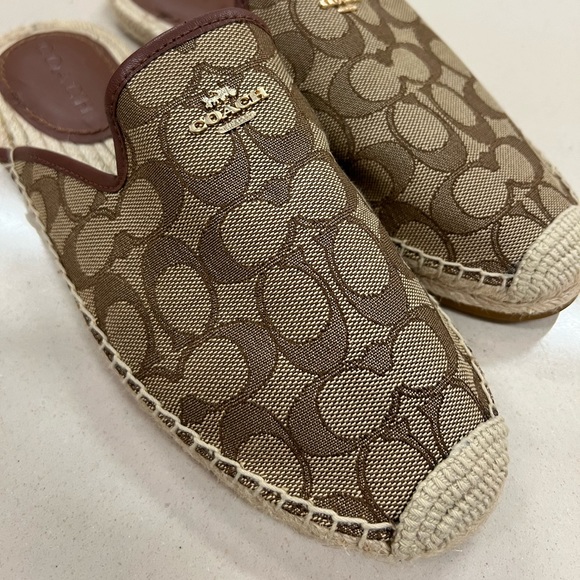 Coach slides - Picture 4 of 6